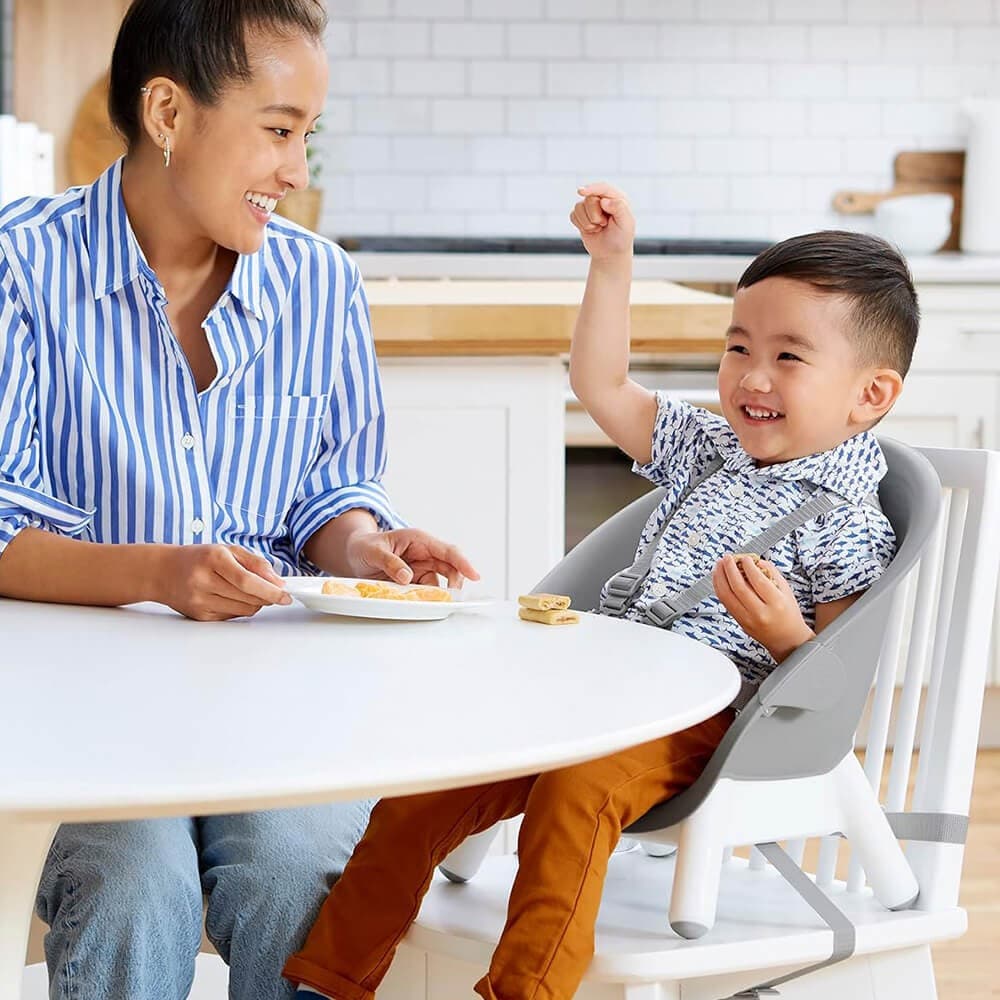 4-in-1 Multi-stage Highchair — vista 5