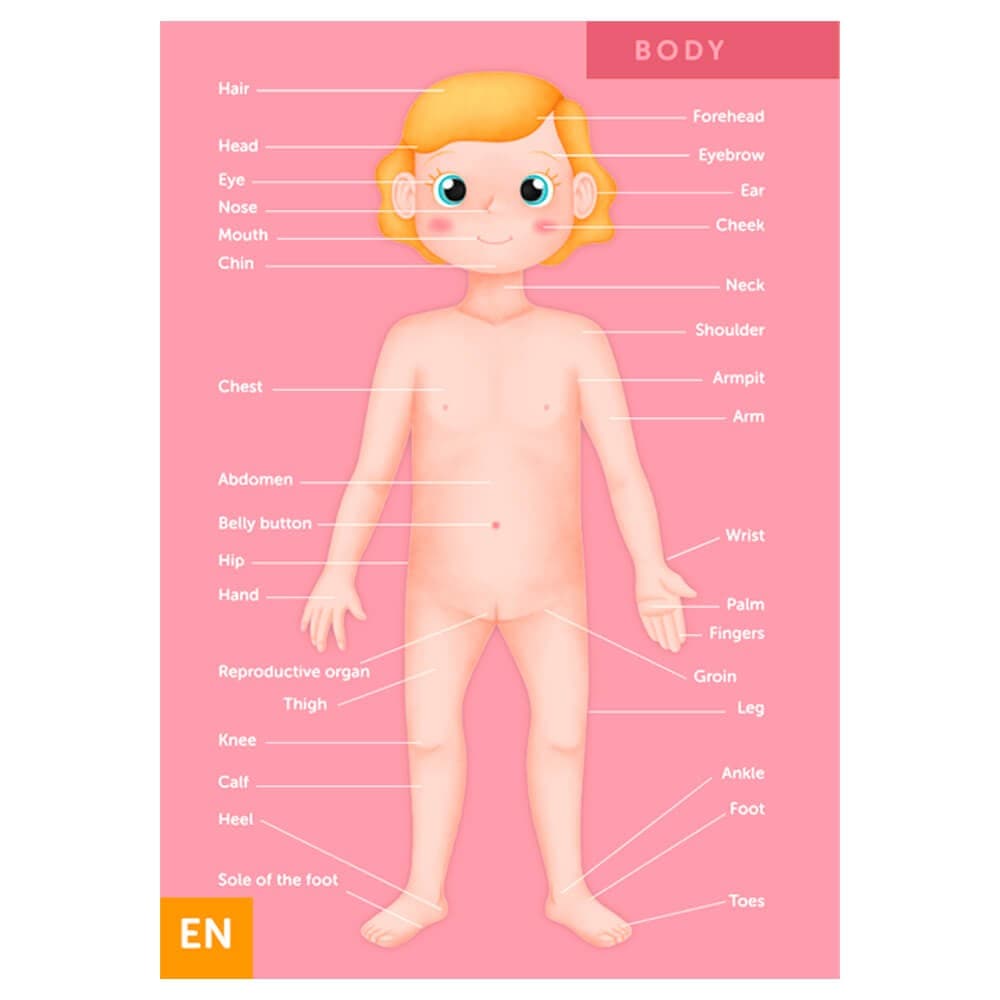 Puzzle Gigante do Corpo Humano de 100 Peças — vista 2