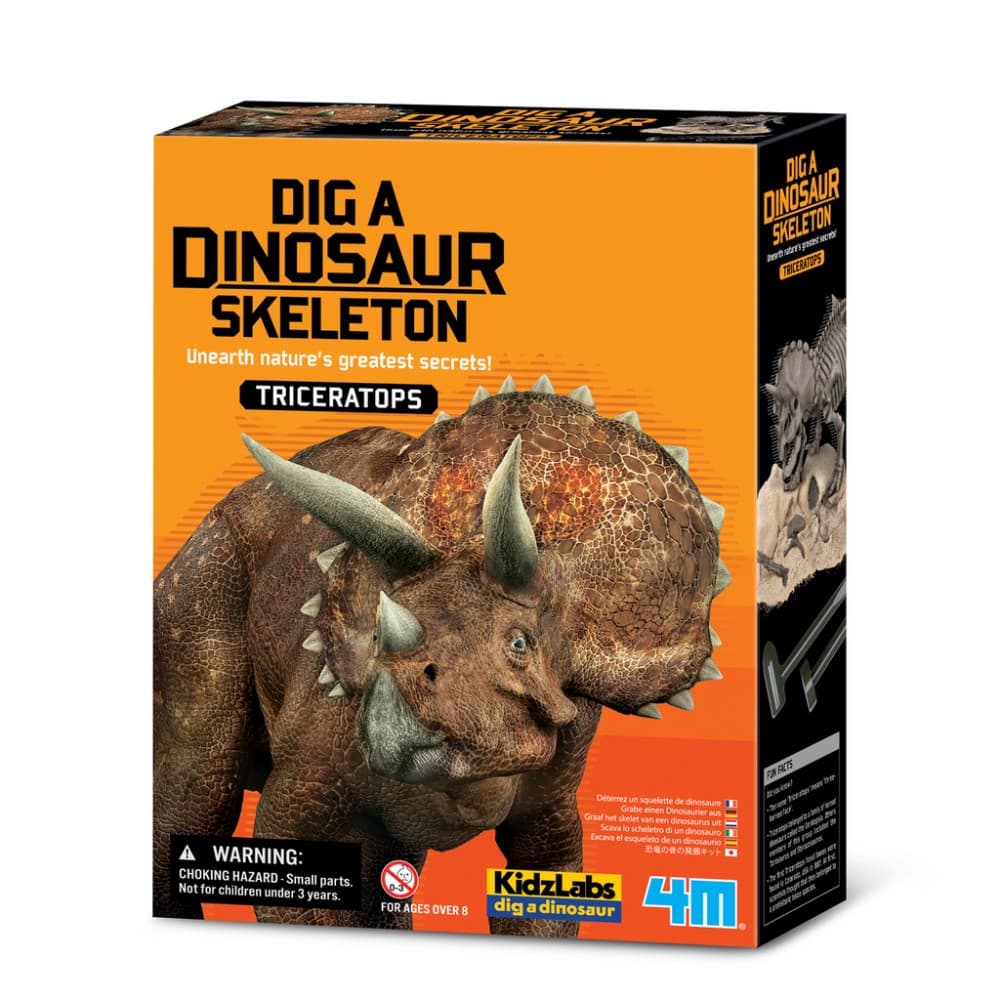 Kit Geológico de Um Triceratops – Kidz Labs