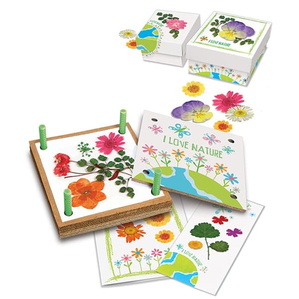 Green Creativity Flores Prensadas — vista 2