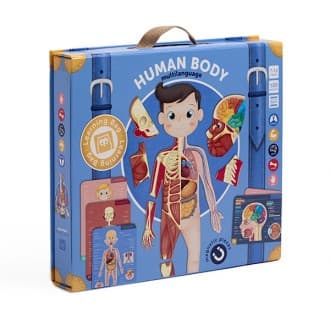 Human Body Magnético Multilingue