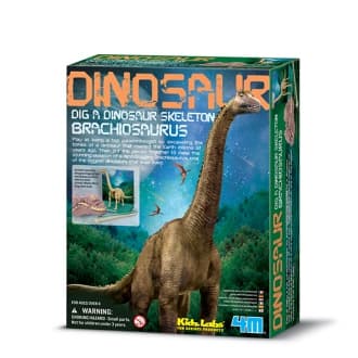 Kidzlabs Paleontología Esqueleto Brachiosaurus
